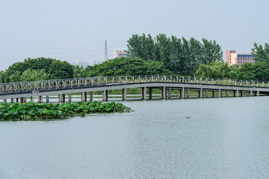 莲花湖公园水景观