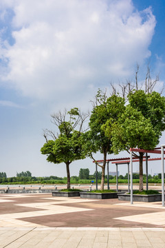 莲花湖公园景观