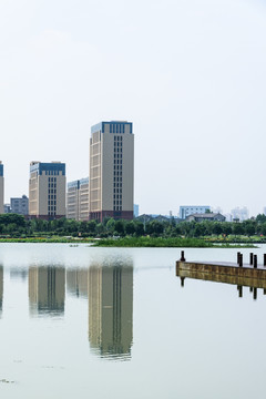 莲花湖公园景观