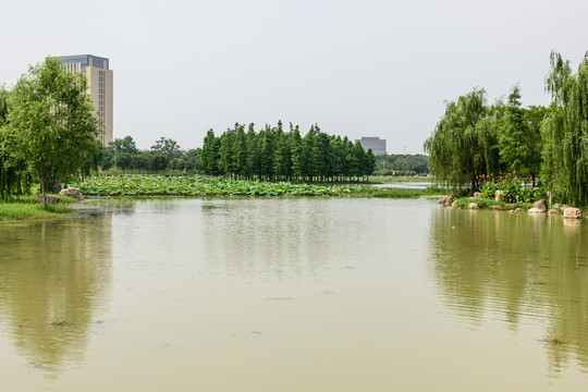 莲花湖公园景观