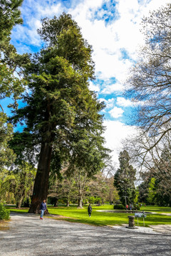 基督城植物园 城市公园 新西兰