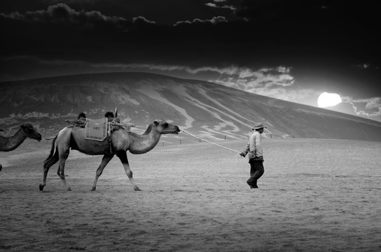 骆驼商队丝绸之路