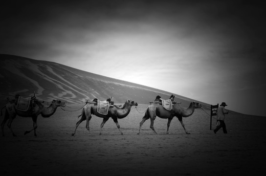 骆驼商队丝绸之路