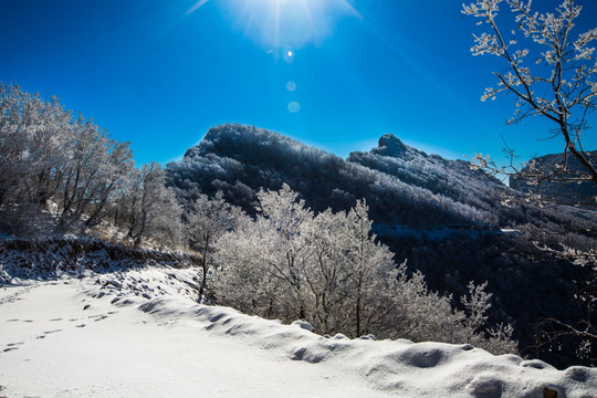 冬日雪景