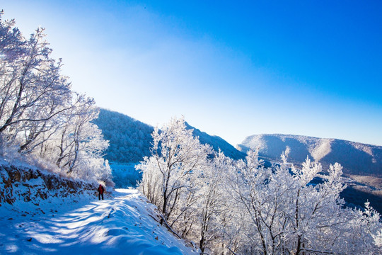 冬日雪景