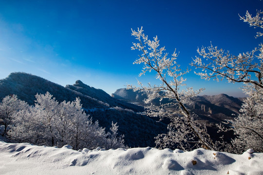 冬日雪景