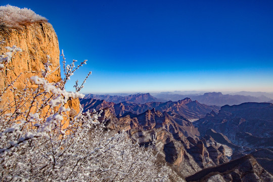 冬日雪景