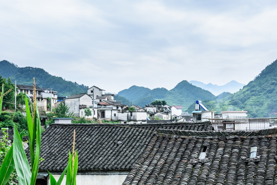 太极湖村景观