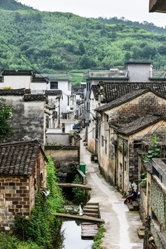 太极湖村景观