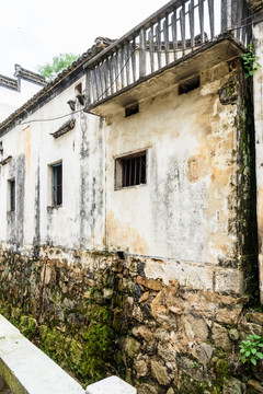 太极湖村景观