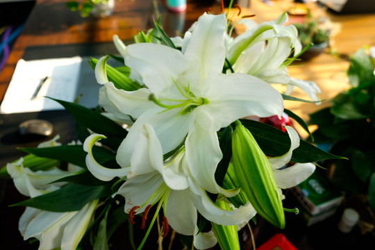 百合花