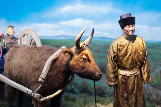蒙古族生活场景