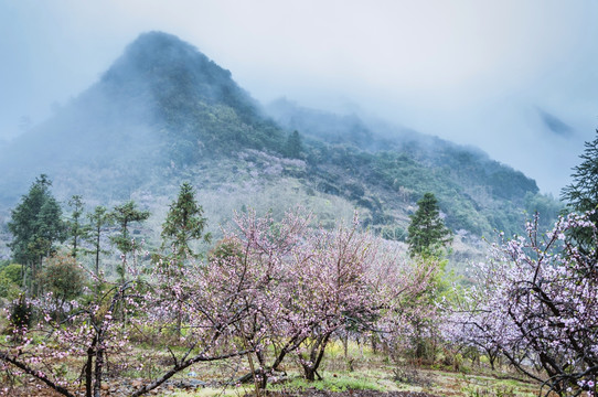 山村春色