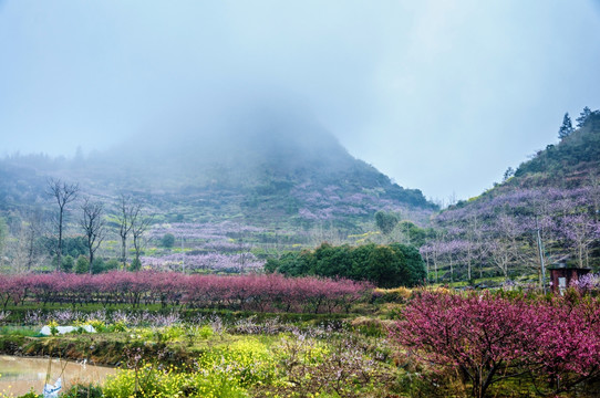 山村春色