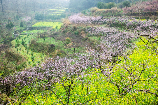 山村春色