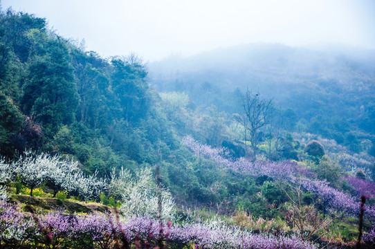 山村春色