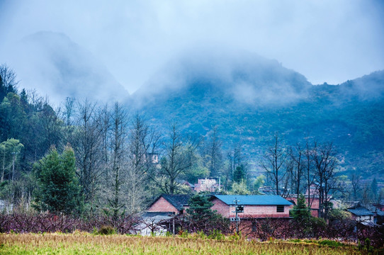 山村早春