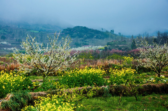 山村早春