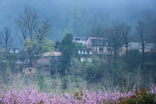 山村早春