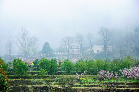 山村早春