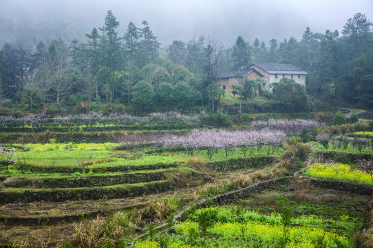 山村早春