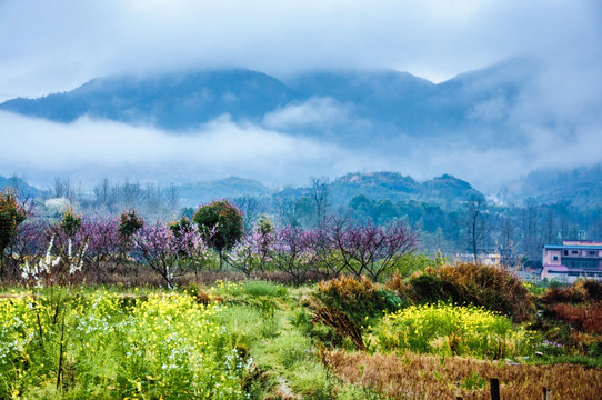 山村早春