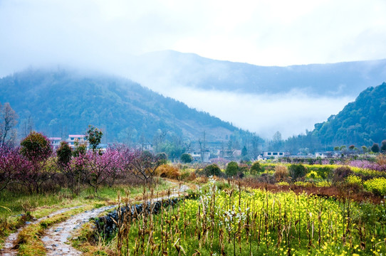 山村早春