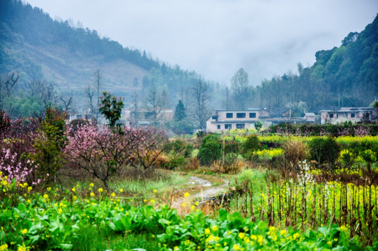 山村早春