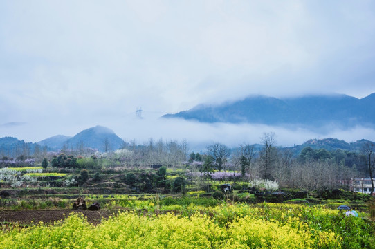 山村早春