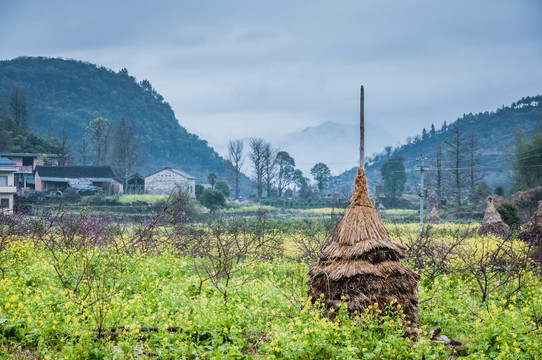 山村早春