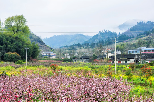 美丽乡村