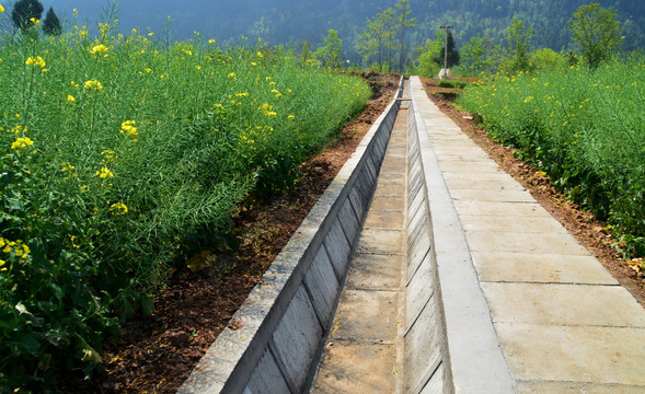 新建水渠