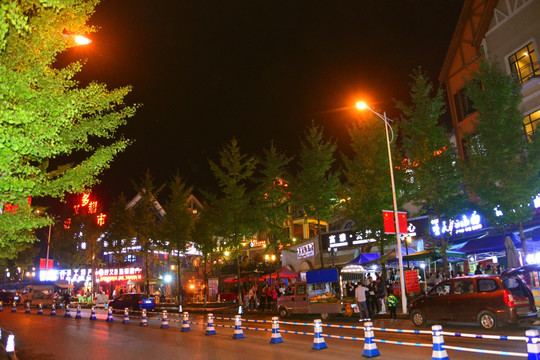 餐饮休闲场所 武隆仙女山镇夜景