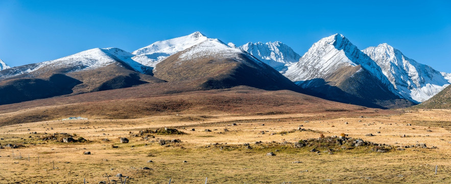 四川德格雀儿山雪山