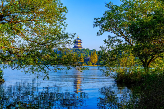 杭州西湖雷峰塔