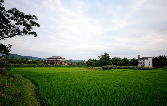 玉林风景