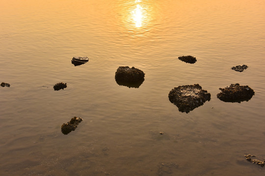 水面石头 水中石块