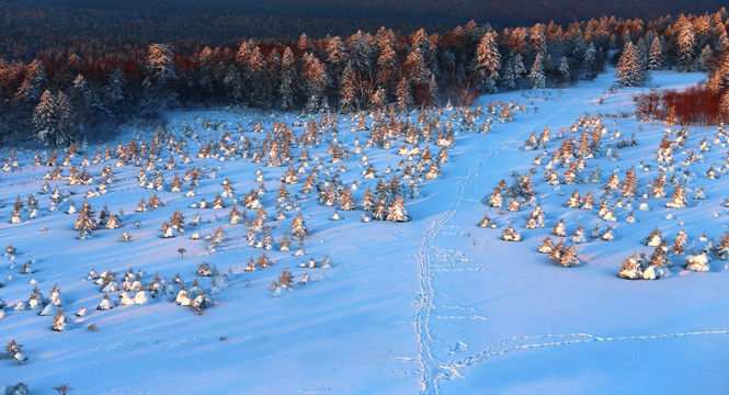 雪岭鸟瞰