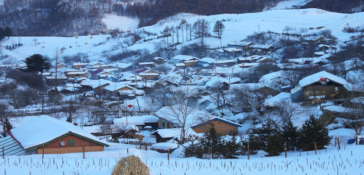 雪村