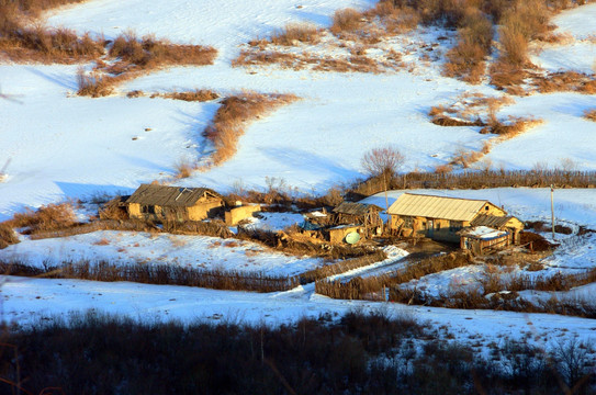 雪村