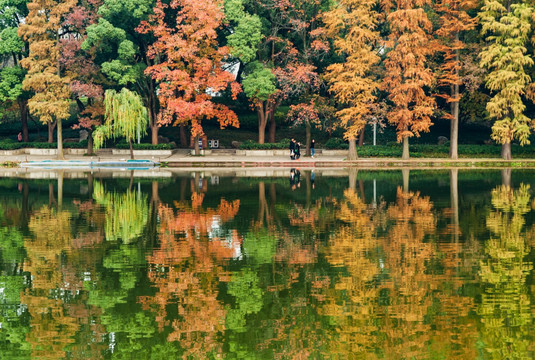 东湖听涛景区