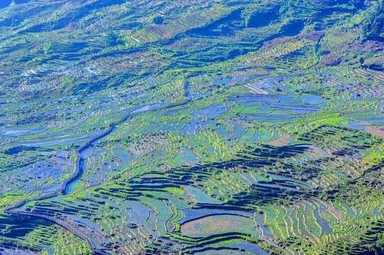 梯田 撒马坝梯田