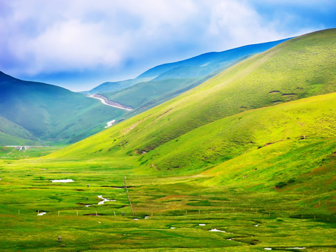 高山牧场