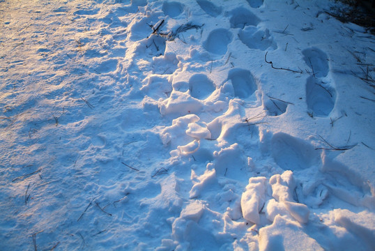 大连莲花山雪景1