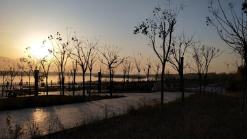 杨凌渭河湿地公园