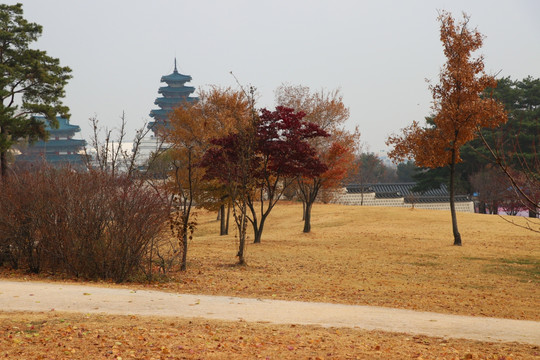 山路
