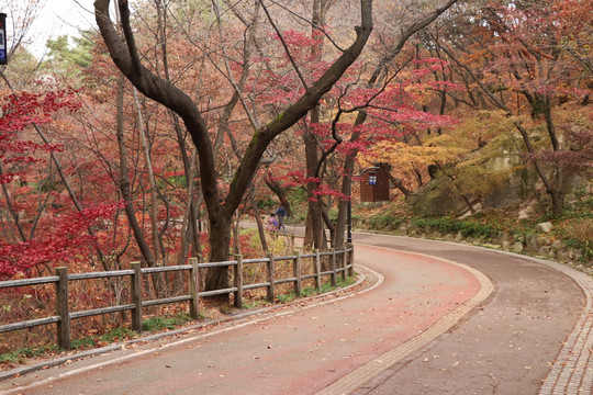 山路