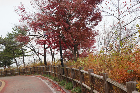 山路