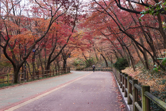 山路