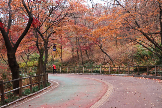 山路